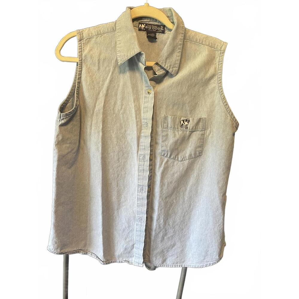 Big Dogs denim shirt